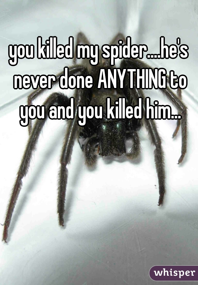 you killed my spider....he's never done ANYTHING to you and you killed him...