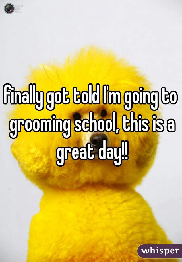 finally got told I'm going to grooming school, this is a great day!!