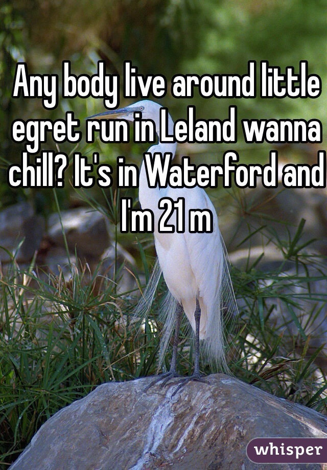 Any body live around little egret run in Leland wanna chill? It's in Waterford and I'm 21 m