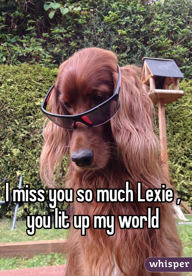 I miss you so much Lexie , you lit up my world