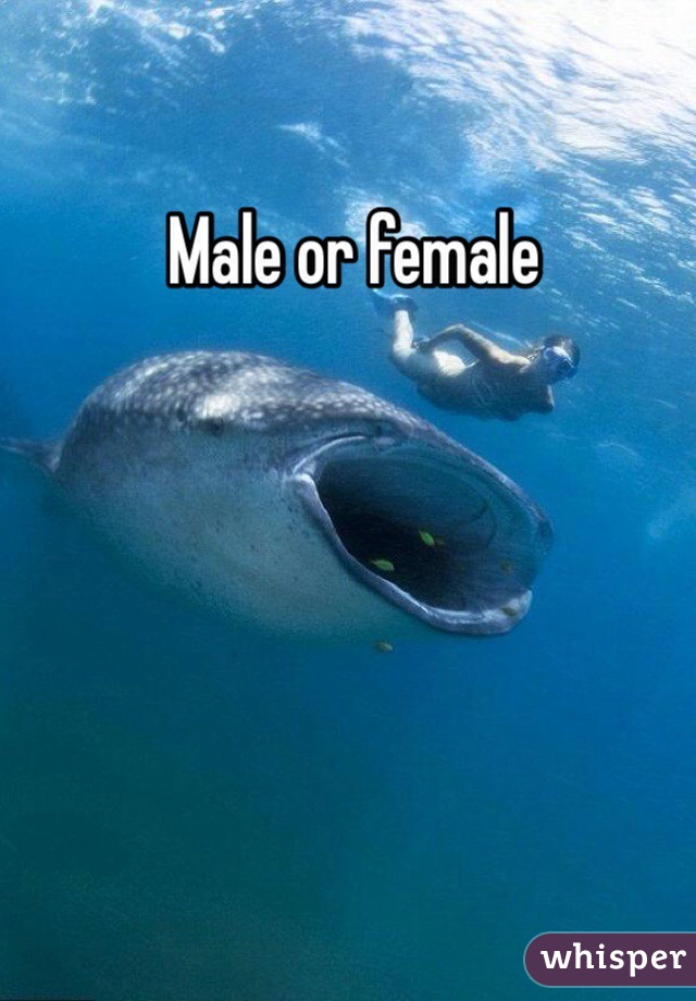  Male or female