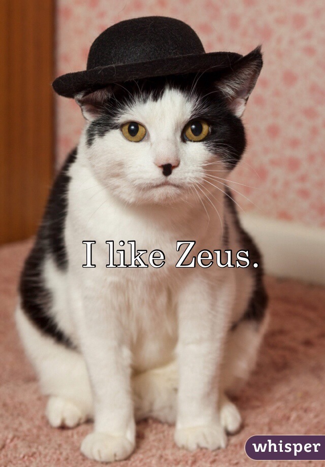 I like Zeus. 