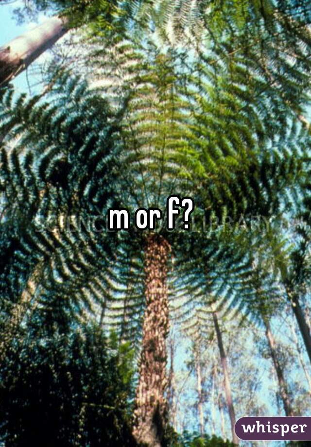 m or f? 