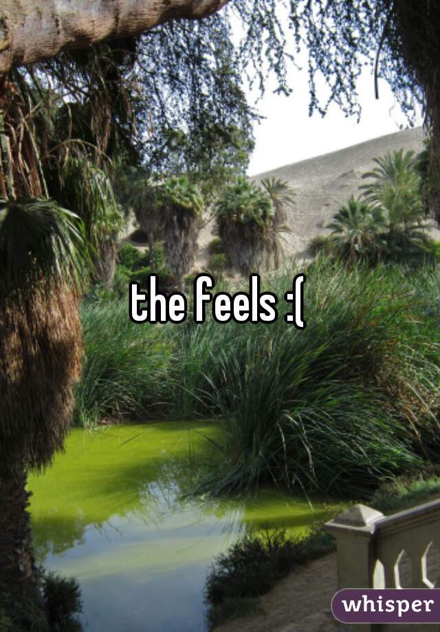 the feels :(