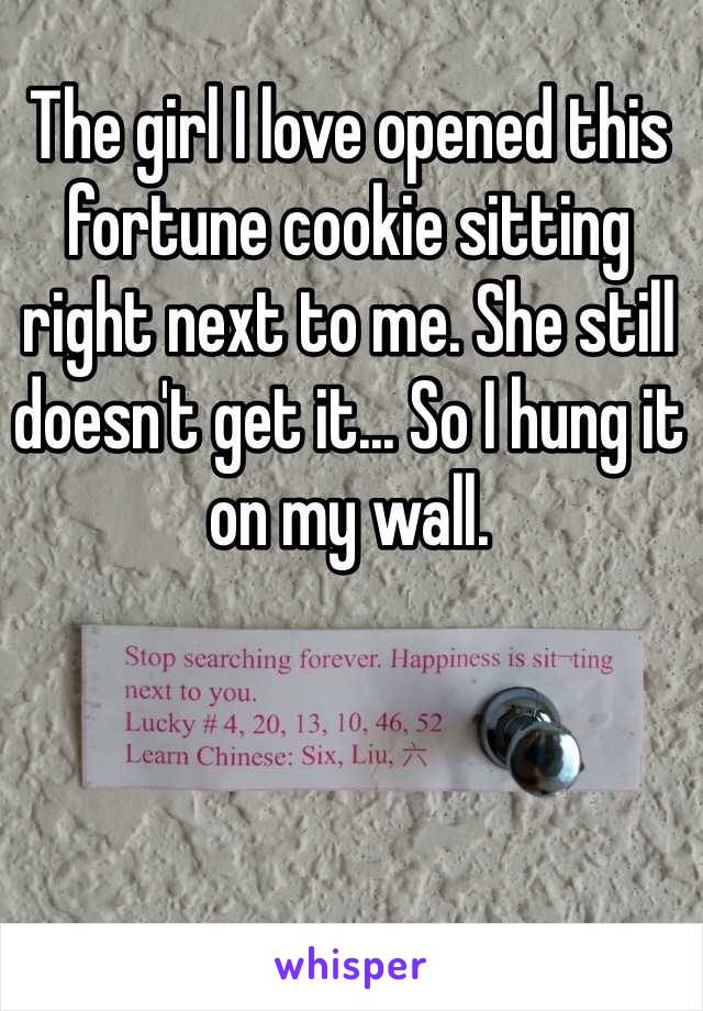 The girl I love opened this fortune cookie sitting right next to me. She still doesn't get it... So I hung it on my wall. 