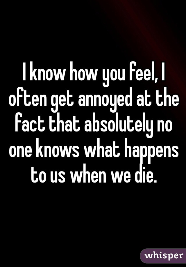 I know how you feel, I often get annoyed at the fact that absolutely no one knows what happens to us when we die. 