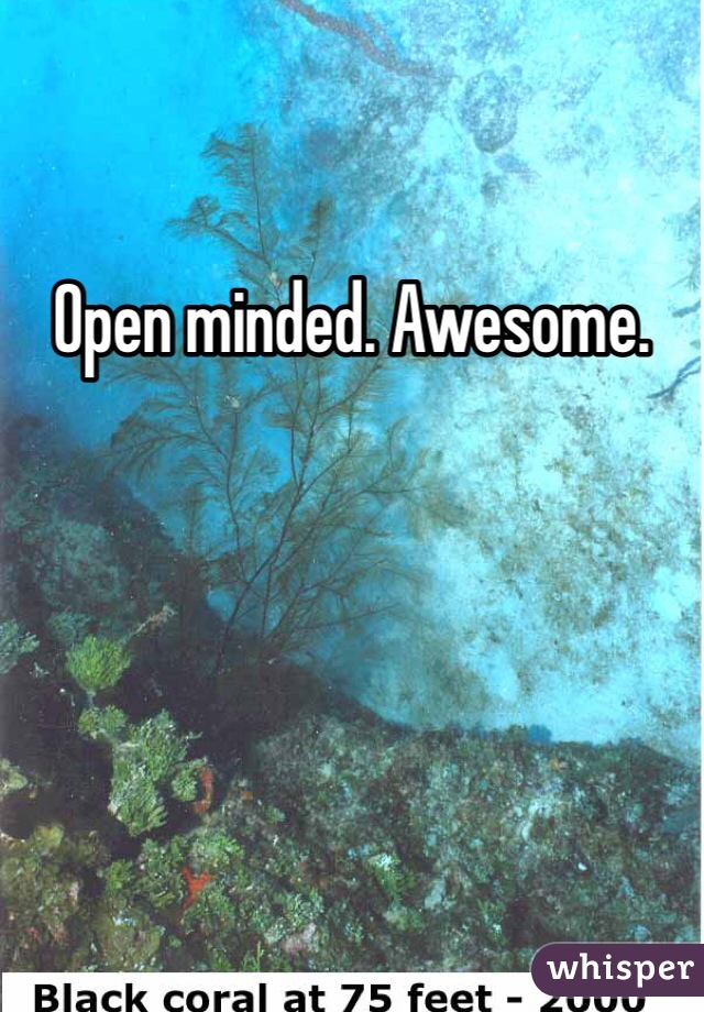 Open minded. Awesome. 