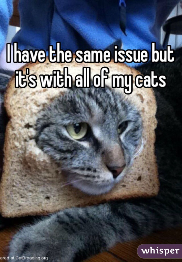 I have the same issue but it's with all of my cats 