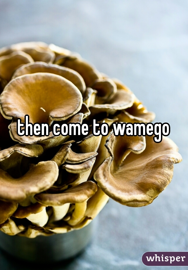 then come to wamego
