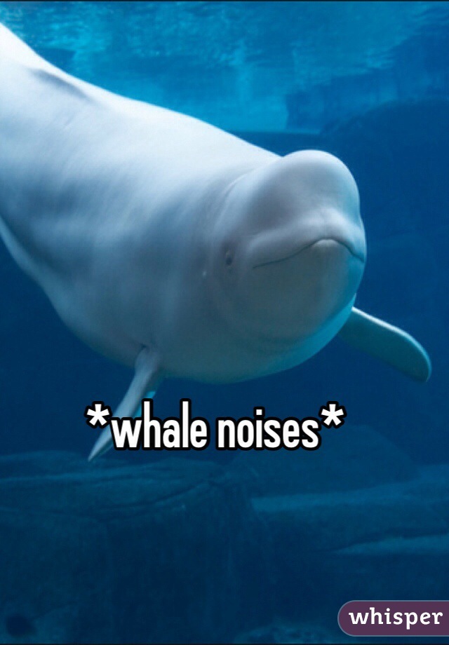 *whale noises*