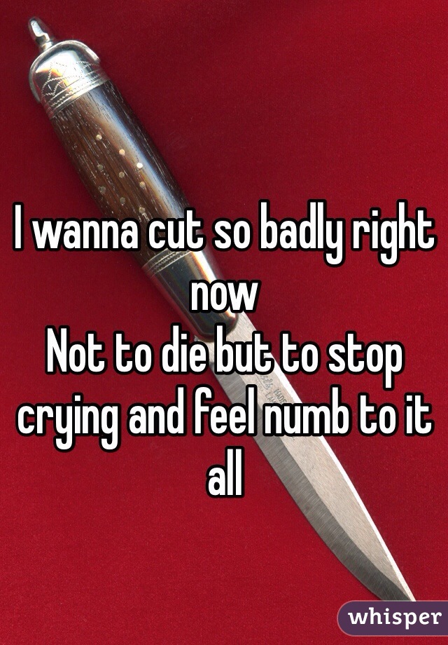 I wanna cut so badly right now 
Not to die but to stop crying and feel numb to it all