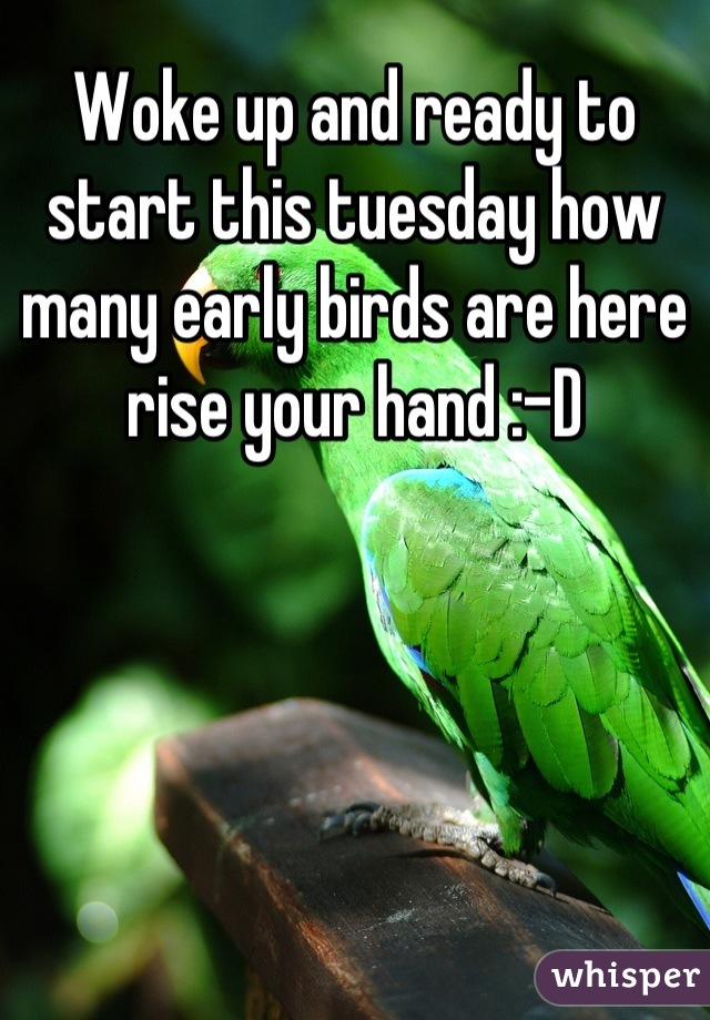 Woke up and ready to start this tuesday how many early birds are here rise your hand :-D