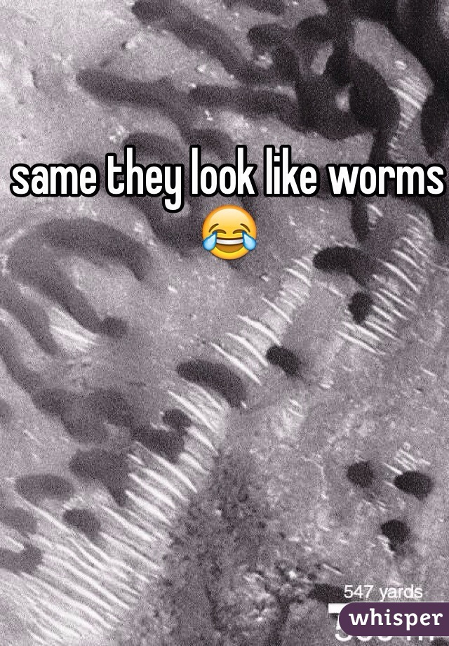 same they look like worms 😂