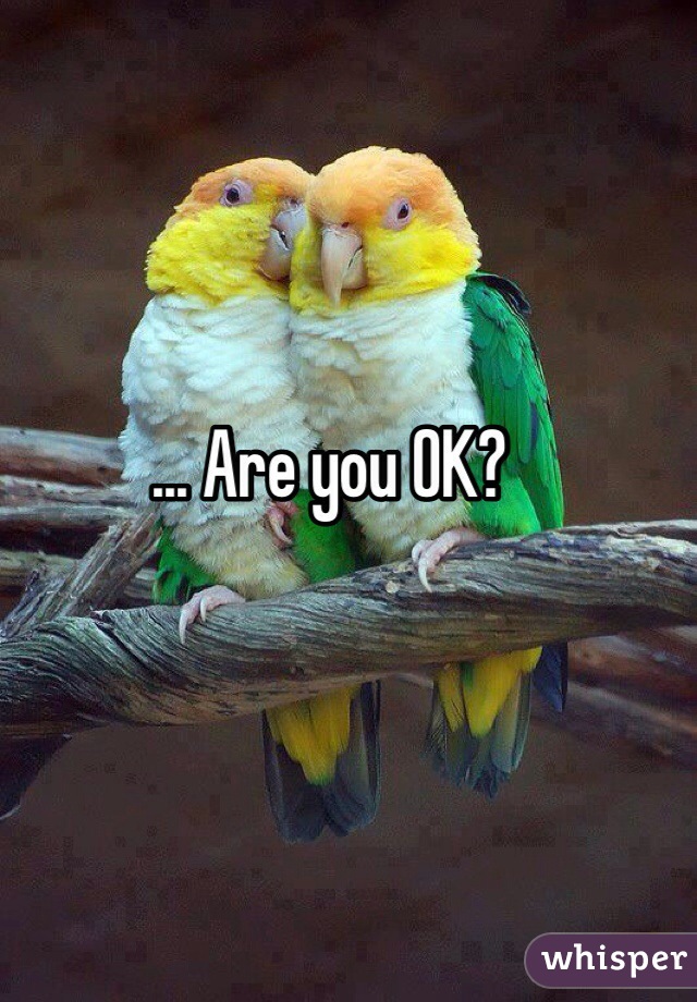 ... Are you OK?