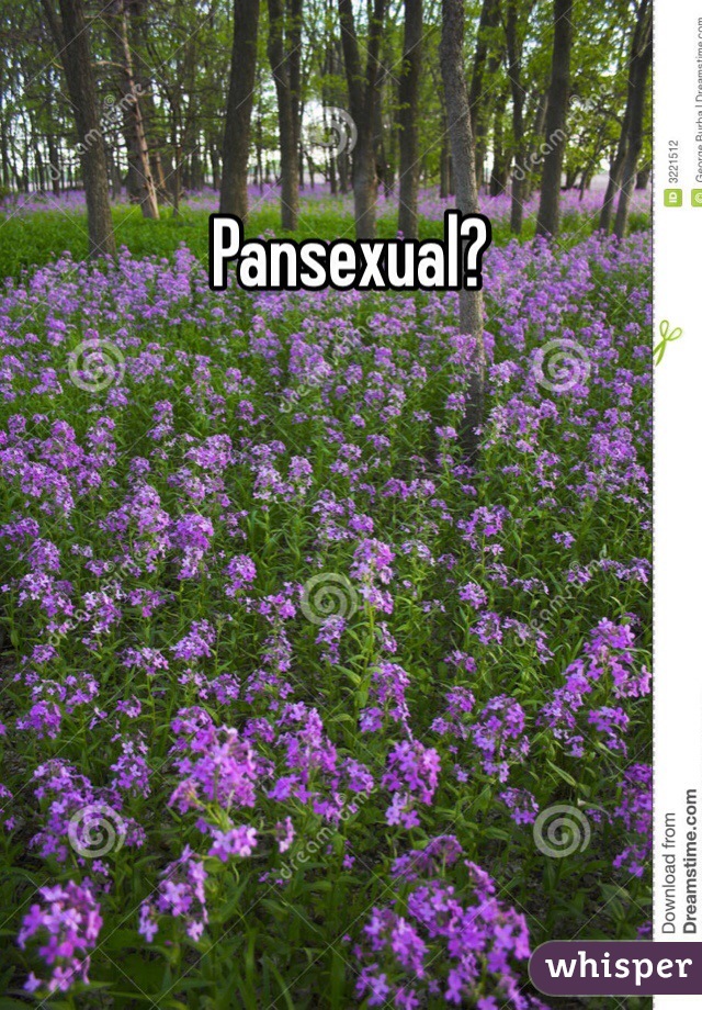 Pansexual?