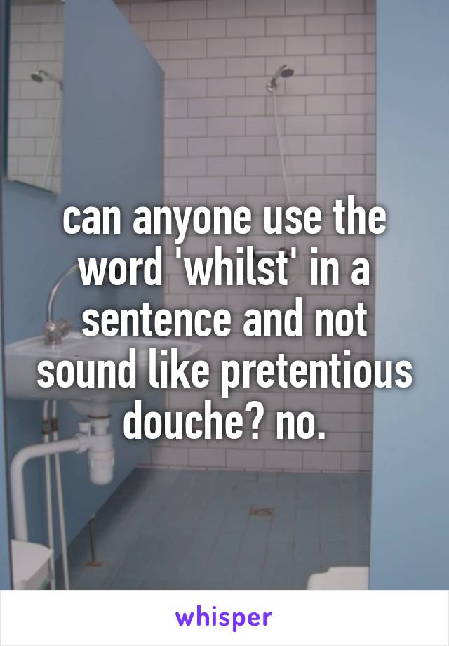 can anyone use the word 'whilst' in a sentence and not sound like pretentious douche? no.