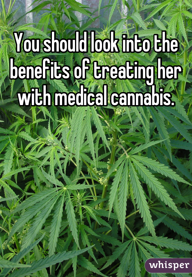 You should look into the benefits of treating her with medical cannabis.