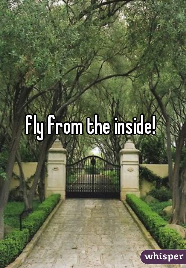 fly from the inside! 