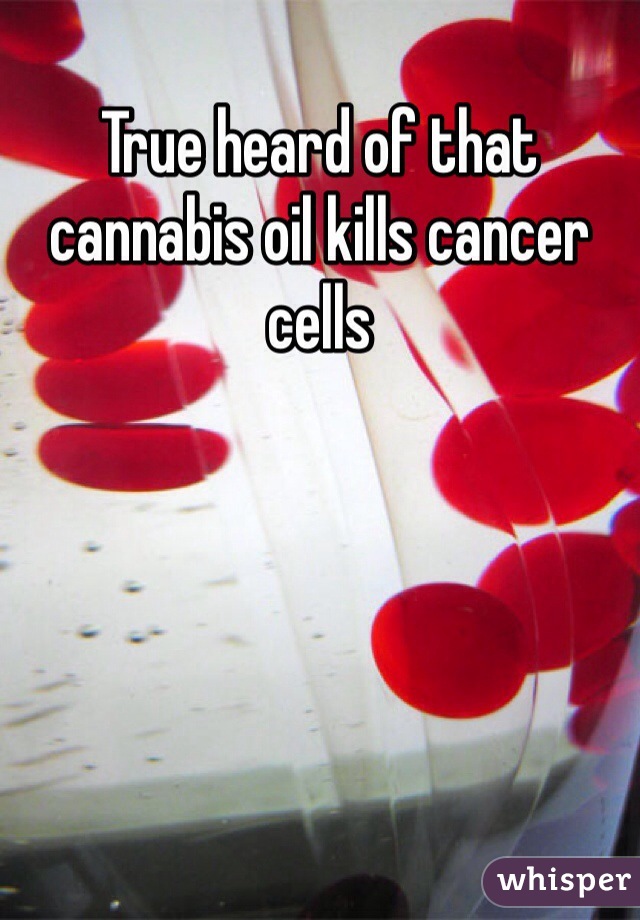 True heard of that cannabis oil kills cancer cells