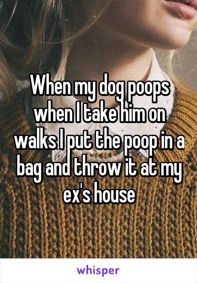 When my dog poops when I take him on walks I put the poop in a bag and throw it at my ex's house