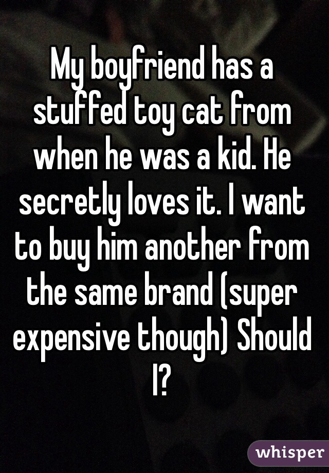 My boyfriend has a stuffed toy cat from when he was a kid. He secretly loves it. I want to buy him another from the same brand (super expensive though) Should I?