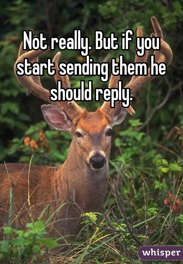 Not really. But if you start sending them he should reply.