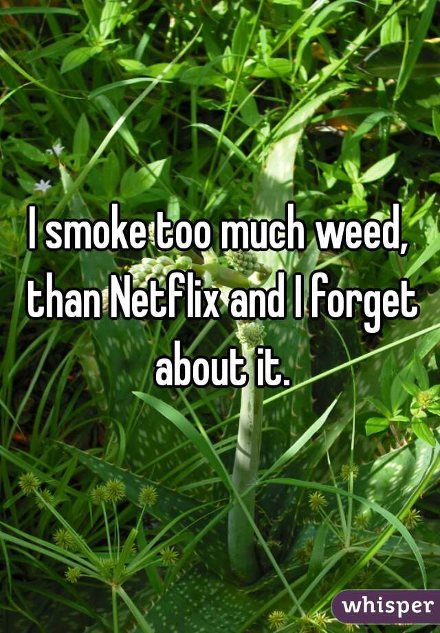 I smoke too much weed, than Netflix and I forget about it.