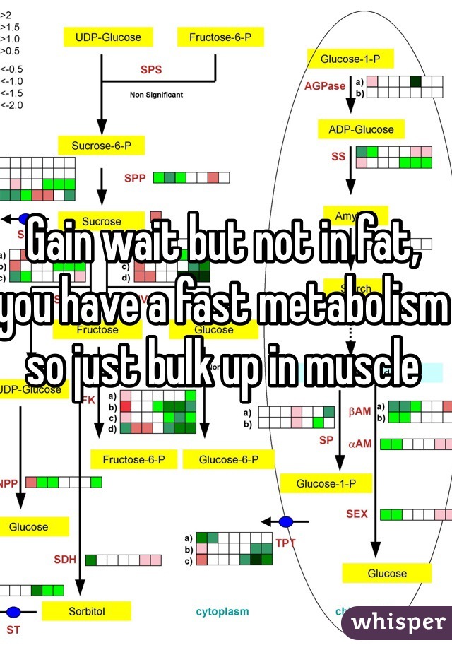 Gain wait but not in fat, you have a fast metabolism so just bulk up in muscle