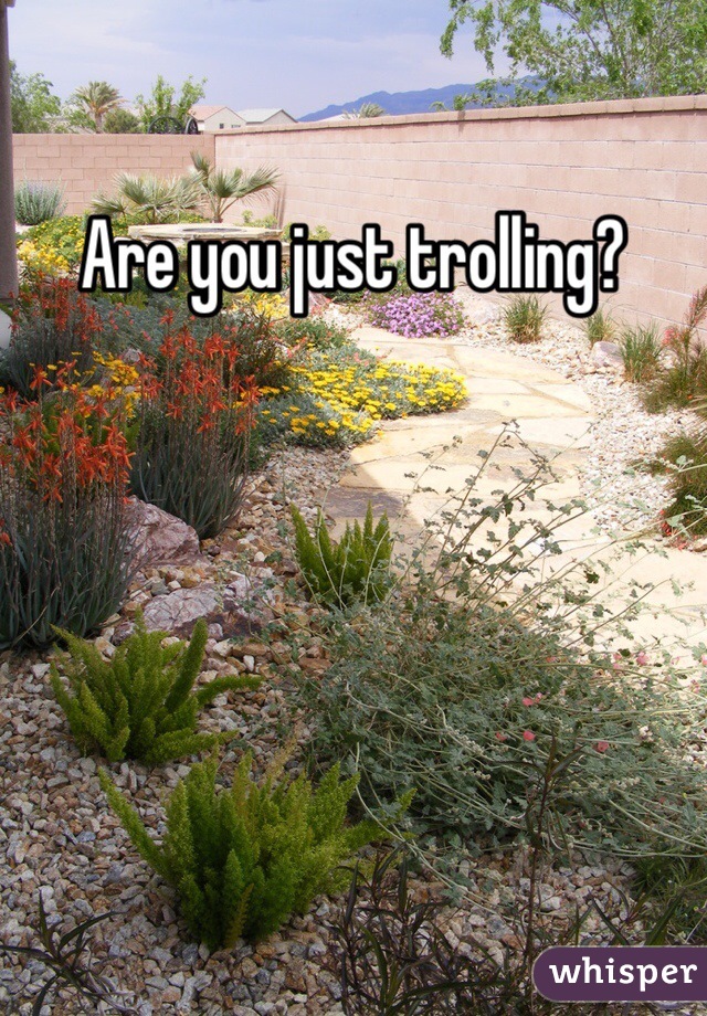 Are you just trolling?