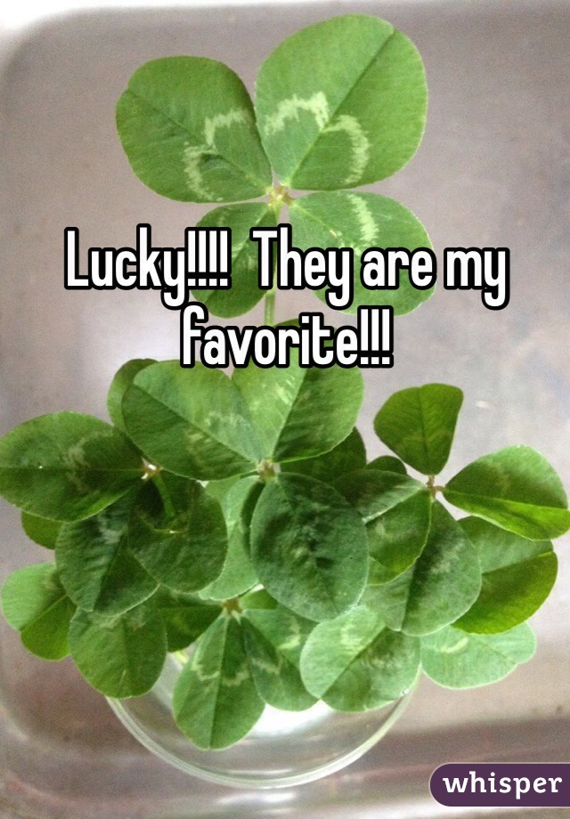 Lucky!!!!  They are my favorite!!!
