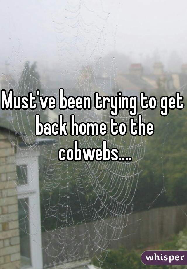 Must've been trying to get back home to the cobwebs....