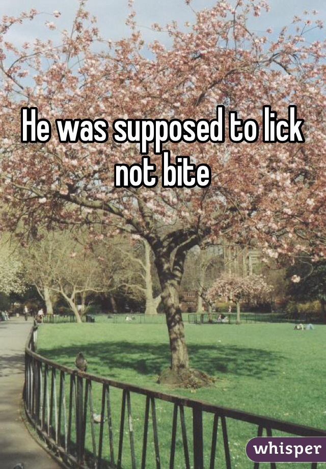 He was supposed to lick not bite 