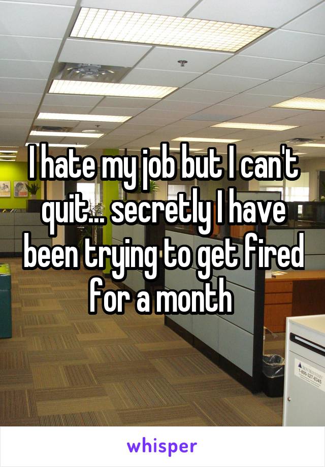 I hate my job but I can't quit... secretly I have been trying to get fired for a month 