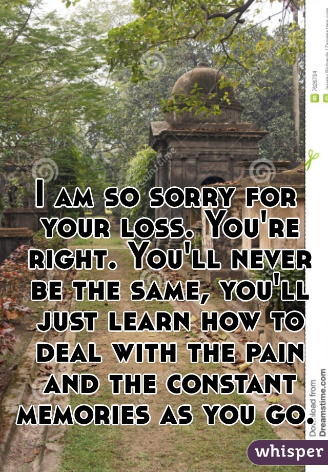 I am so sorry for your loss. You're right. You'll never be the same, you'll just learn how to deal with the pain and the constant memories as you go.   