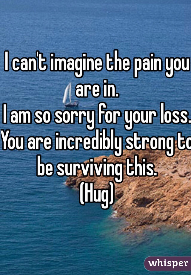 I can't imagine the pain you are in. 
I am so sorry for your loss. 
You are incredibly strong to be surviving this. 
(Hug)