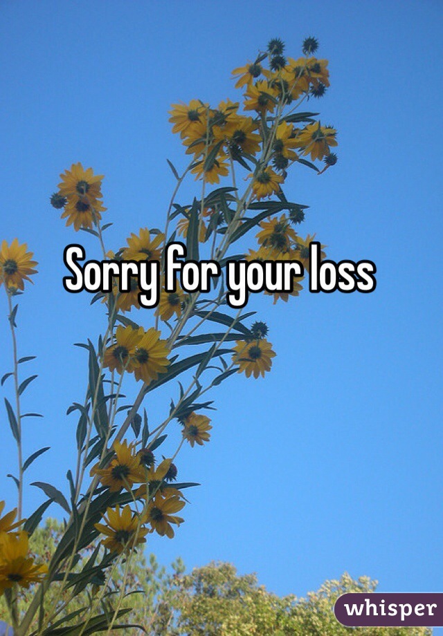 Sorry for your loss