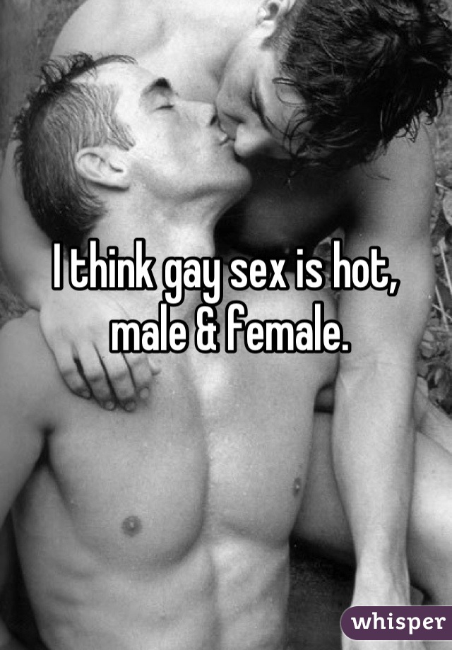 I think gay sex is hot,
 male & female.