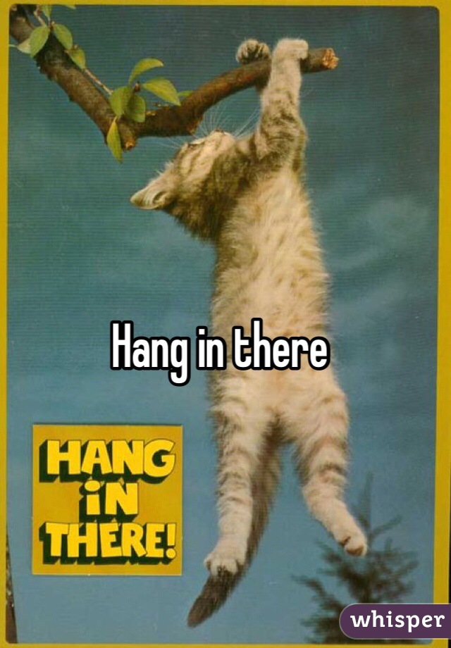 Hang in there 
