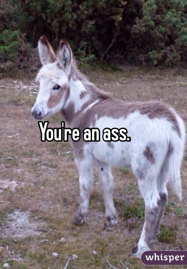 You're an ass.