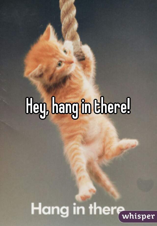 Hey, hang in there!