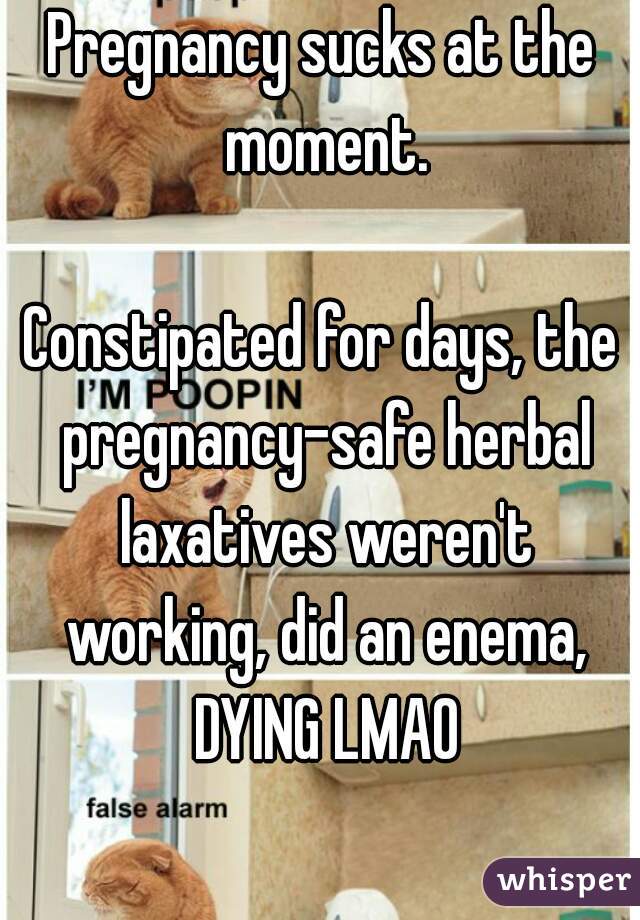 Pregnancy sucks at the moment.
  
Constipated for days, the pregnancy-safe herbal laxatives weren't working, did an enema, DYING LMAO