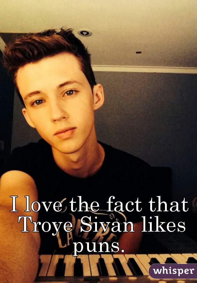 I love the fact that Troye Sivan likes puns. 
