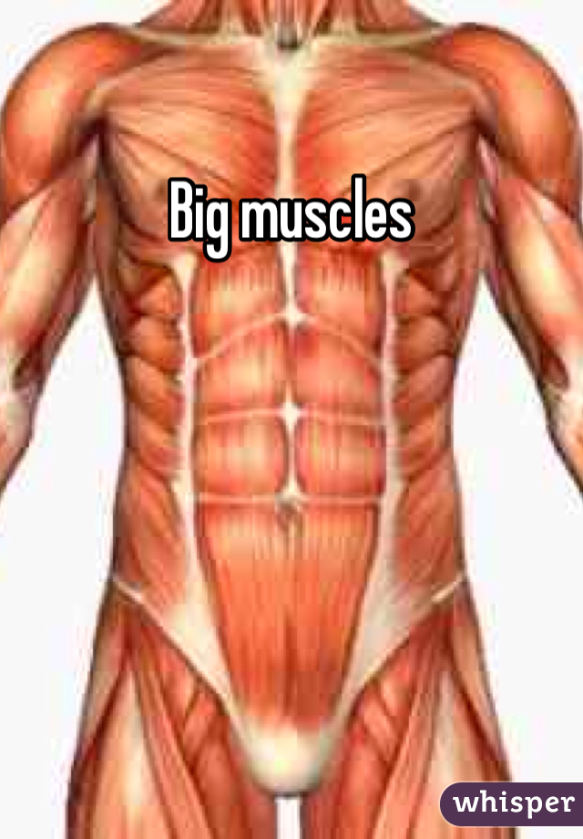 Big muscles 