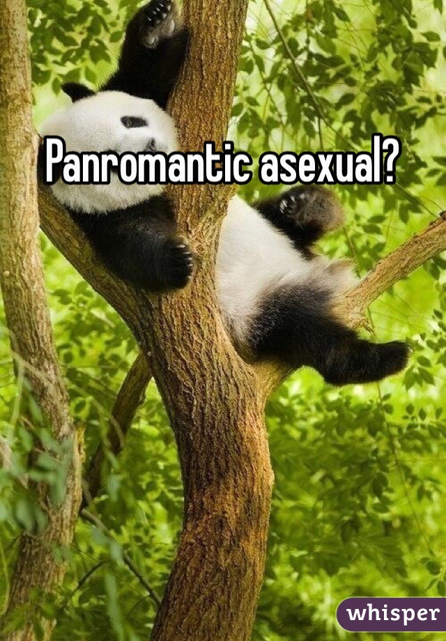 Panromantic asexual?