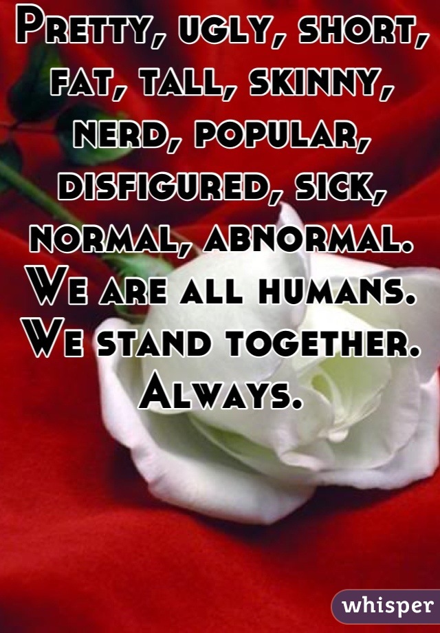 Pretty, ugly, short, fat, tall, skinny, nerd, popular, disfigured, sick, normal, abnormal. We are all humans. We stand together. Always.