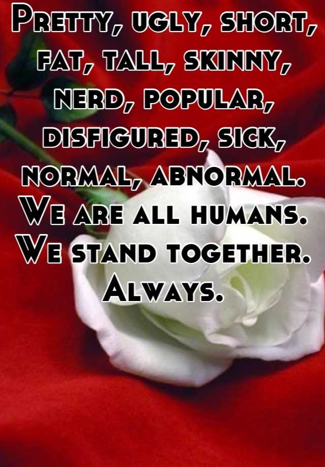 Pretty, ugly, short, fat, tall, skinny, nerd, popular, disfigured, sick, normal, abnormal. We are all humans. We stand together. Always.