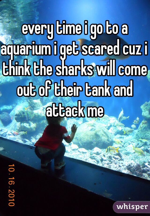 every time i go to a aquarium i get scared cuz i think the sharks will come out of their tank and attack me