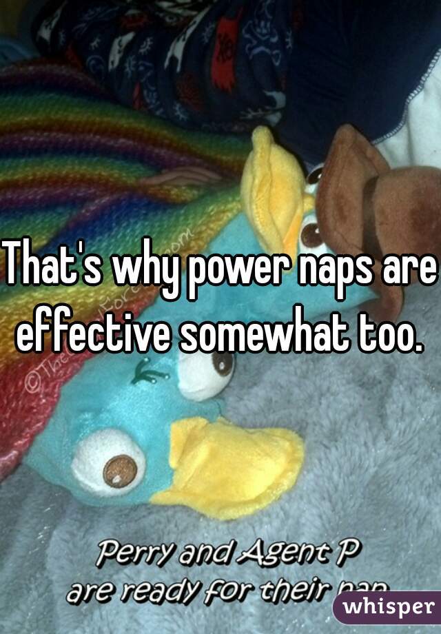 That's why power naps are effective somewhat too. 