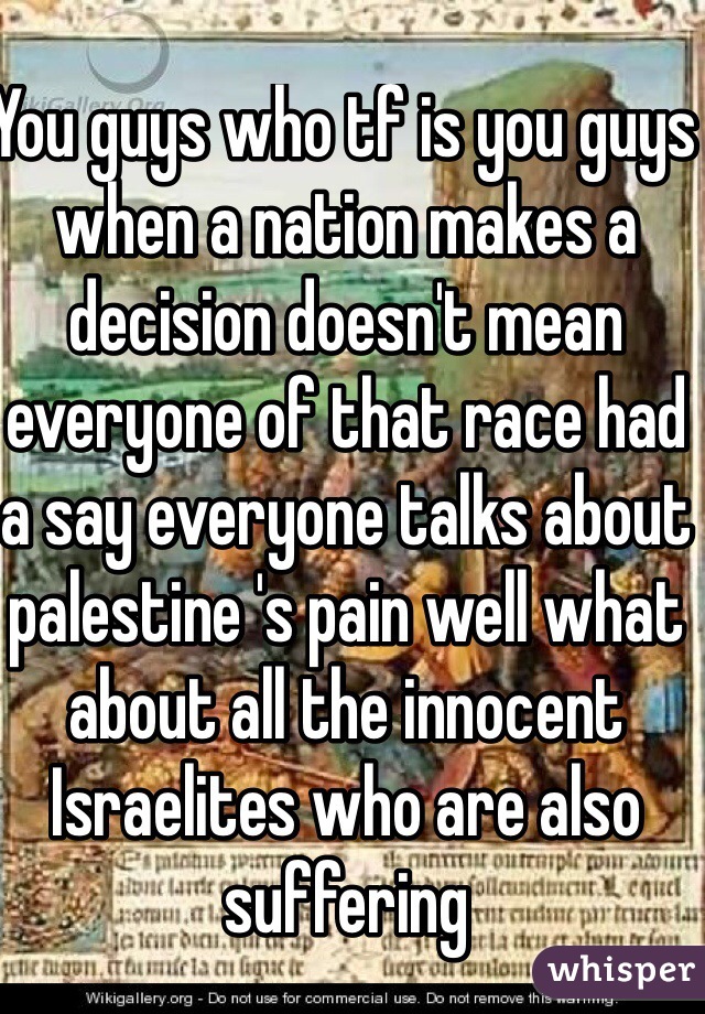 You guys who tf is you guys when a nation makes a decision doesn't mean everyone of that race had a say everyone talks about palestine 's pain well what about all the innocent Israelites who are also suffering