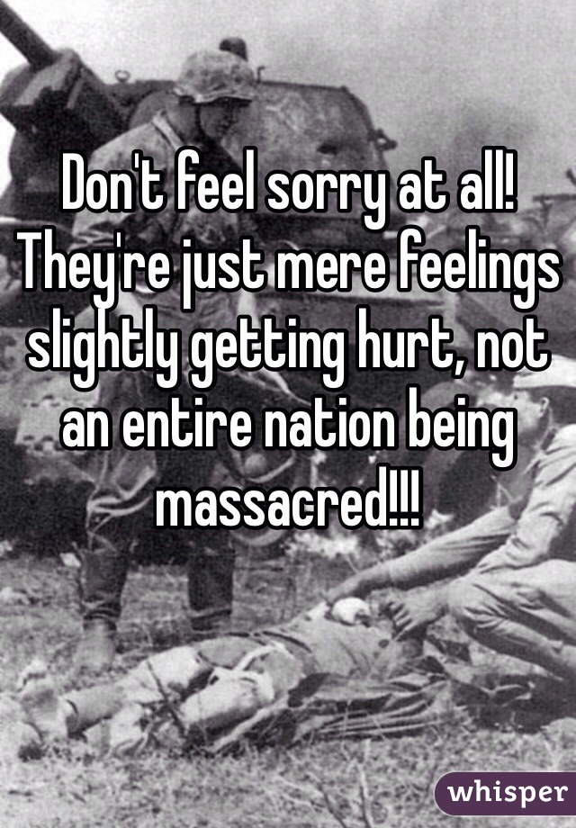 Don't feel sorry at all! They're just mere feelings slightly getting hurt, not an entire nation being massacred!!! 